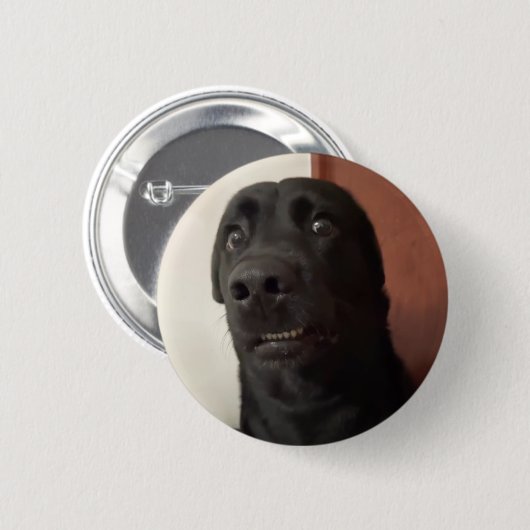 Schaltfläche "Sced Dog Meme"-Button Button (Vorne & Hinten)
