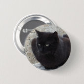 Schaltfläche "Schwarze Katze" Button (Vorne & Hinten)