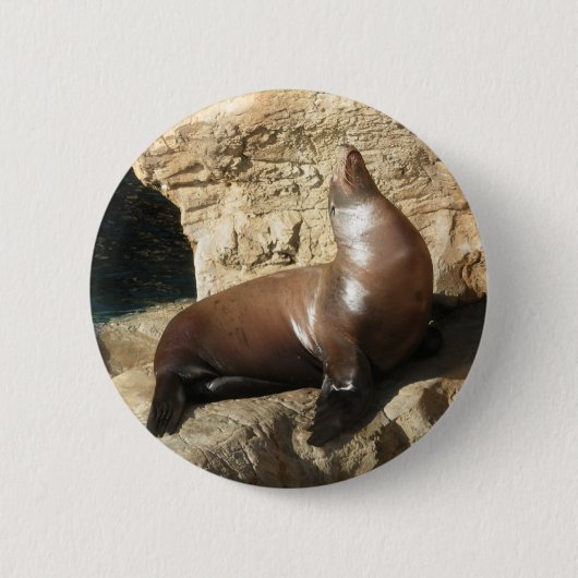 Schaltfläche "Sea Lion" Button (Vorderseite)