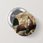 Schaltfläche "Sea Lion" Button (Vorne & Hinten)