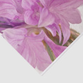 Schaltfläche Seidenpapier (Ausschnitt)