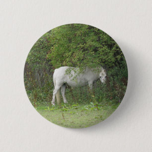 Schaltfläche "Shy White Horse" Button