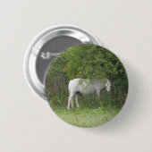 Schaltfläche "Shy White Horse" Button (Vorne & Hinten)