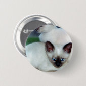 Schaltfläche "Siamese Kittens" Button (Vorne & Hinten)