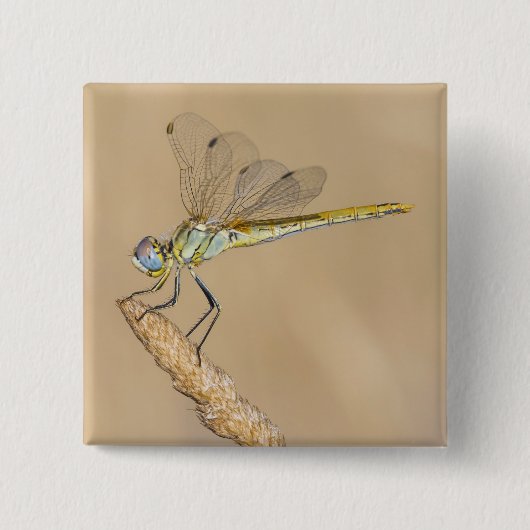 Schaltfläche "Skimmer Dragonfly Insect Female" (CC Button (Vorderseite)