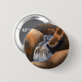 Schaltfläche Straßen, Flüsse und Seen Button (Vorne & Hinten)