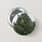 Schaltfläche Treetops Button (Vorne & Hinten)