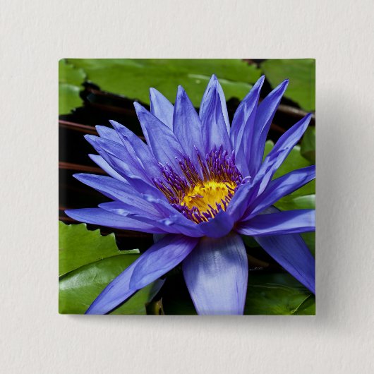 Schaltfläche "Tropische Wasserlilie" Button (Vorderseite)