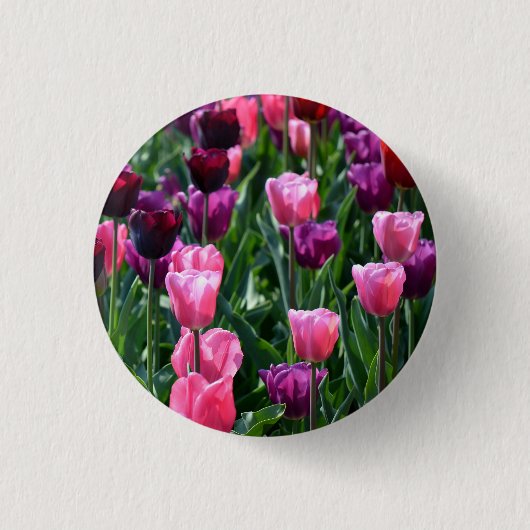 Schaltfläche und Lila Tulips / Abzeichen Button (Vorderseite)