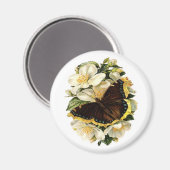 SCHALTFLÄCHE UND WEISSE BLUME MAGNET (Vorderseite/Rückseite)