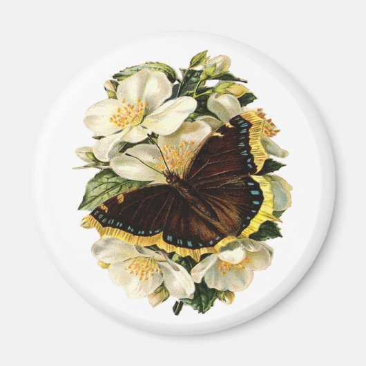 SCHALTFLÄCHE UND WEISSE BLUME MAGNET (Vorne)