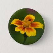 Schaltfläche "Untified" Button (Vorderseite)