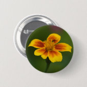 Schaltfläche "Untified" Button (Vorne & Hinten)