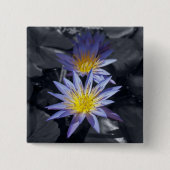 Schaltfläche "Wasserläufe" Button (Vorderseite)