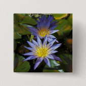 Schaltfläche "Wasserläufe" Button (Vorderseite)