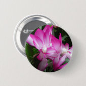 Schaltfläche Weihnachtskaktus-Blume Button (Vorne & Hinten)