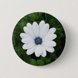Schaltfläche Weiße Blume Button