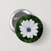 Schaltfläche Weiße Blume Button (Vorne & Hinten)