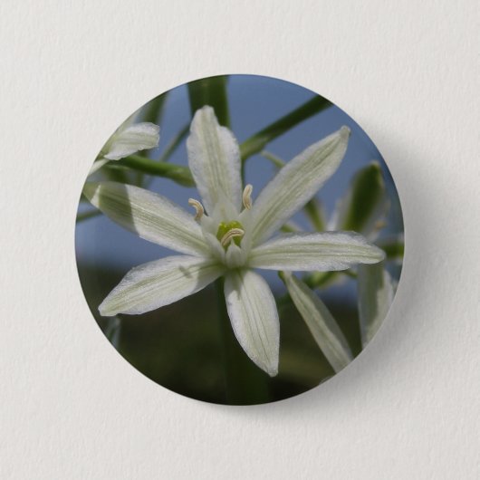 Schaltfläche "Weiße Blume" im Frühjahr Button (Vorderseite)
