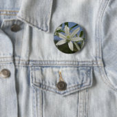 Schaltfläche "Weiße Blume" im Frühjahr Button (Beispiel)