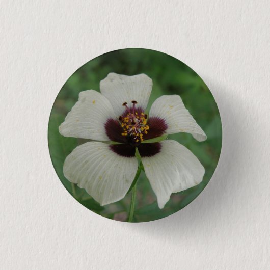 Schaltfläche "Weiße und Lila Passionsblume" Button (Vorderseite)