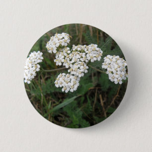 Schaltfläche "Weiße Wildblumen" Button