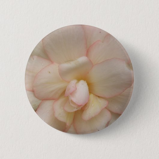Schaltfläche "Weißer Begonia-Blume" Button (Vorderseite)