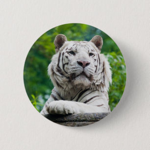 Schaltfläche Weißer Tiger Button