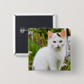 Schaltfläche "White Kitten" Button (Vorne & Hinten)