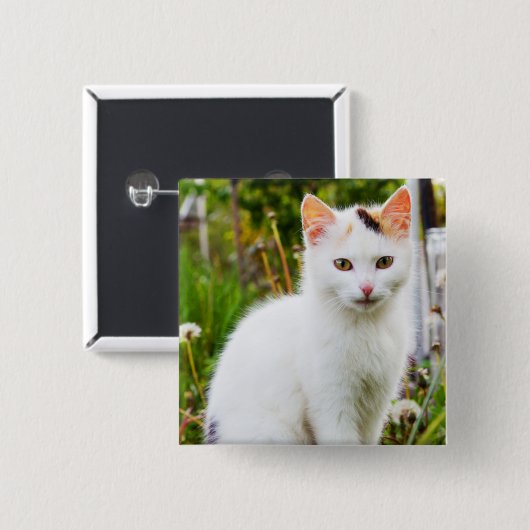 Schaltfläche "White Kitten" Button (Vorne & Hinten)