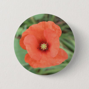 Schaltfläche "Wild Poppy Blume" Button
