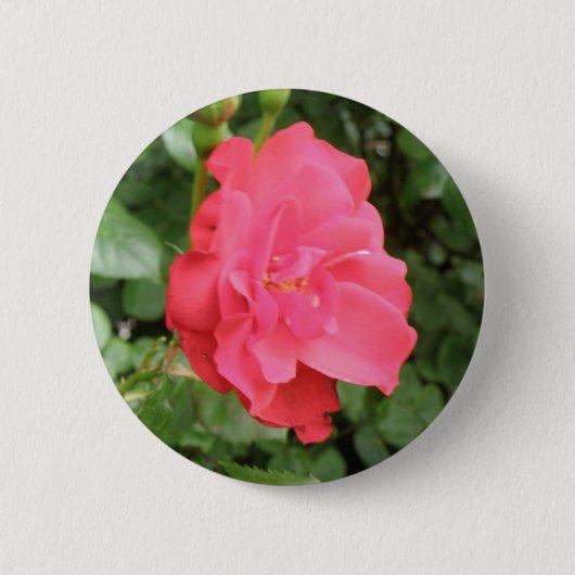 Schaltfläche "Wilde Rose" Button (Vorderseite)