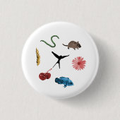 Schaltfläche Wingspan Alle Lebensmittelmarken Button (Vorderseite)