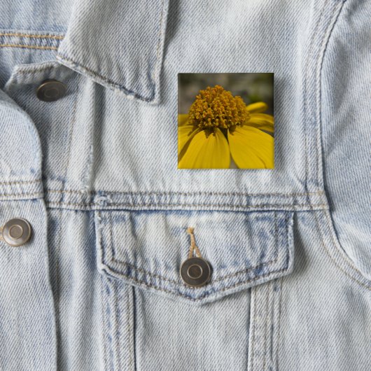 Schaltfläche "Wüste Brittlebrush Square" Button (Beispiel)