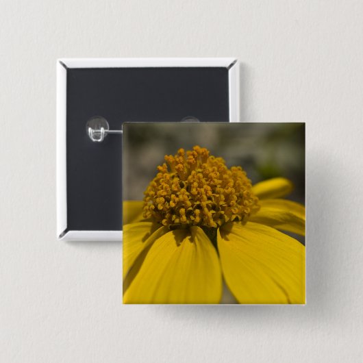 Schaltfläche "Wüste Brittlebrush Square" Button (Vorne & Hinten)