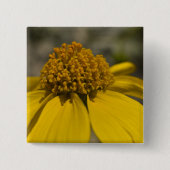 Schaltfläche "Wüste Brittlebrush Square" Button (Vorderseite)