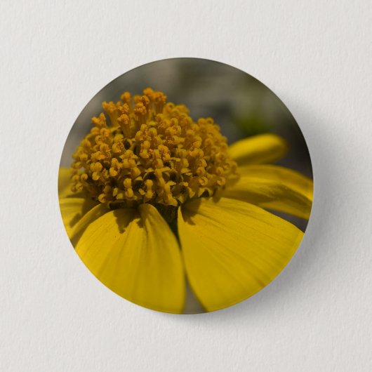 Schaltfläche "Wüstenbürste" Button (Vorderseite)