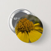 Schaltfläche "Wüstenbürste" Button (Vorne & Hinten)