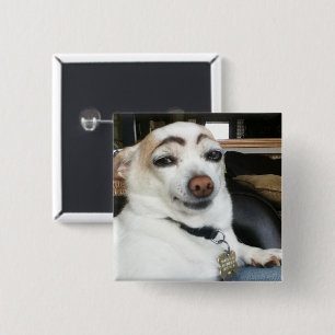 Schaltfläche zum Button von Eyebrow Dog Meme