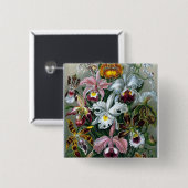 Schaltfläche zur Darstellung der Haeckel-Orchid-St Button (Vorne & Hinten)