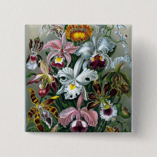 Schaltfläche zur Darstellung der Haeckel-Orchid-St Button