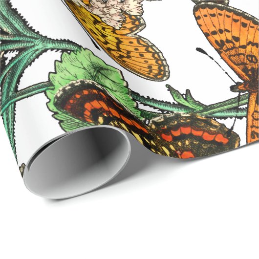 SCHALTFLÄCHEN IM NATURSCHREIBPAPIER GESCHENKPAPIER (Rolleneckpunkt)