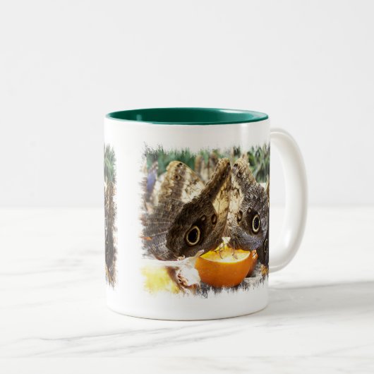 SCHALTFLÄCHEN - TASSE AUS KAFFEE (VorderseiteRechts)