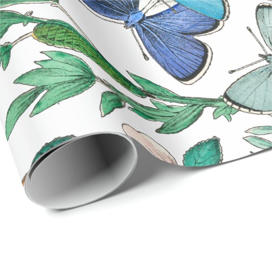 SCHALTFLÄDEN IN DER NATUR GESCHENKPAPIER (Rolleneckpunkt)