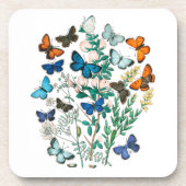 SCHALTFLÄDEN IN DER NATUR GETRÄNKEUNTERSETZER (Vorderseite)