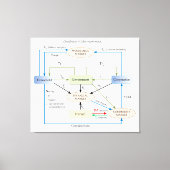 Schaltplan in der Makroökonomie Leinwanddruck (Vorderseite)