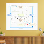 Schaltplan in der Makroökonomie Leinwanddruck (Insitu (Wohnzimmer))