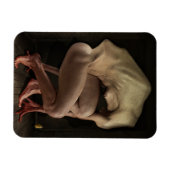 Scham 2012 magnet (Horizontal)