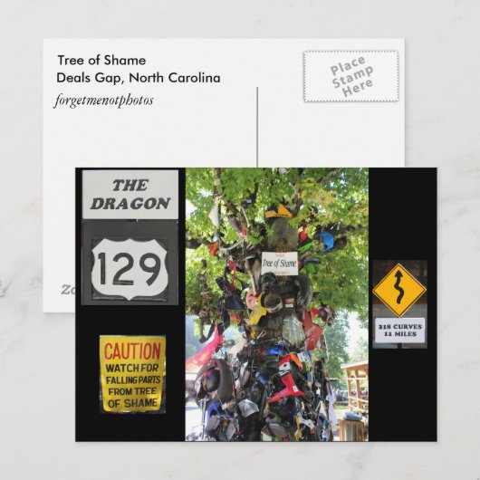 Schambaum Postkarte (Vorne/Hinten)