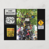 Schambaum Postkarte (Vorderseite)